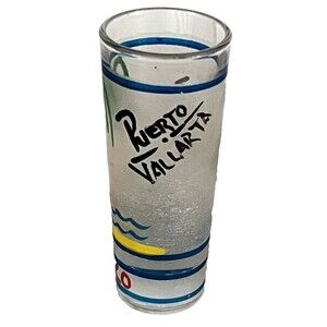 Vintage Shot Glass 80s Puerto Vallarta Frosted Painted Palm Tall Bar‎ Shooter